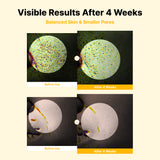 NIDA Youthful Glass Skin Bundle